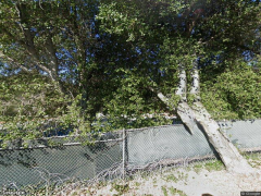 Photo of Forester Haven California-uinlicensed