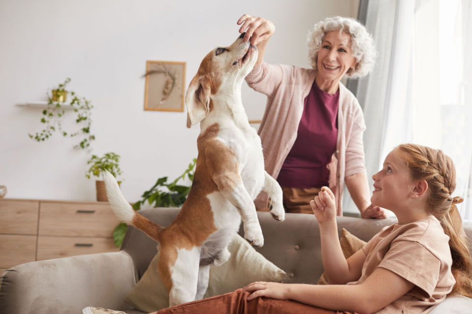 A senior woman and a young girl feeding treats to a dog